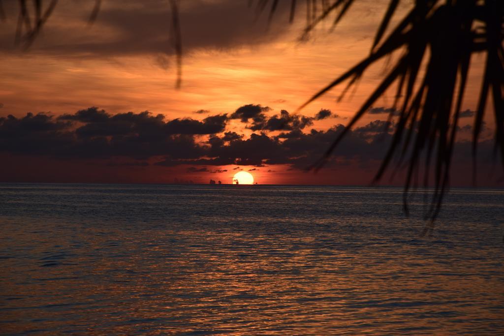 Bibee Maldives Hotel Dhiffushi Exterior photo