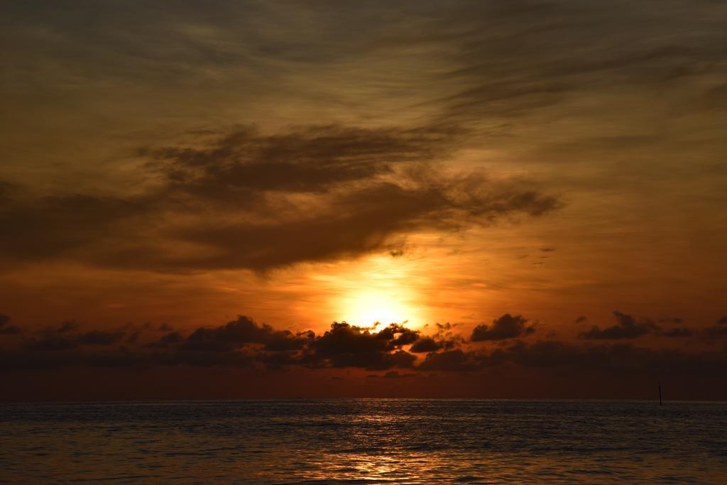 Bibee Maldives Hotel Dhiffushi Exterior photo